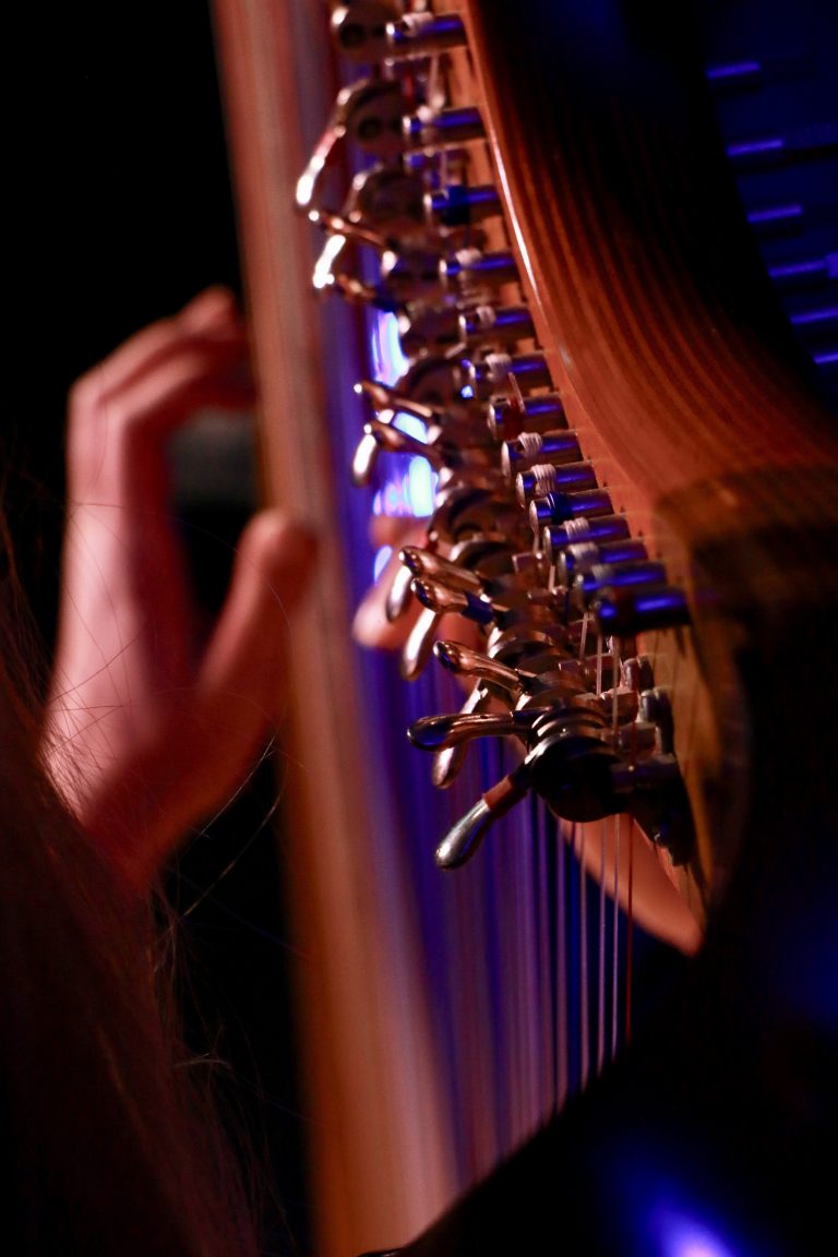 Harpiste représentation musicale - Nolwenn Fuselier